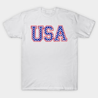 USA Embroidered Font T-Shirt